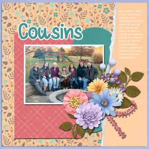 Cousins