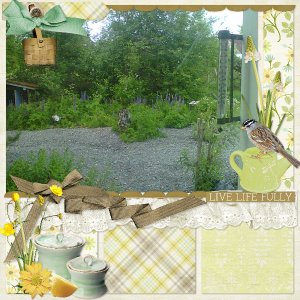 Backyard