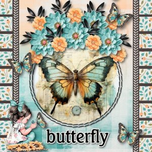 butterfly