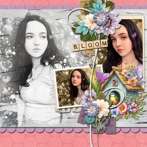 Bloom