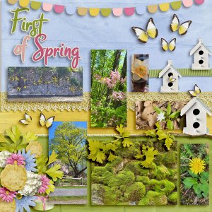 SPRING-COLOR-MAR24