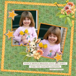 Daffodils