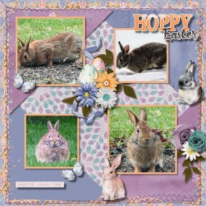 Bunnies Galore