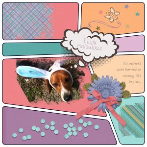 March Magic Bundle