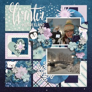 Snowstorm March 2023