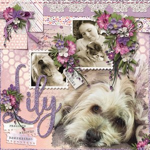 Lily
