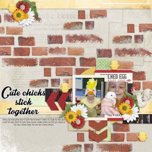Cute Chicks