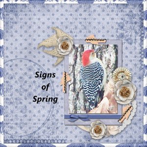Signs of Spring