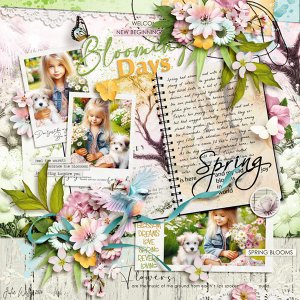 blooming days