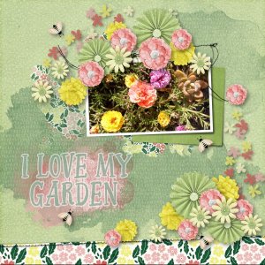 my garden