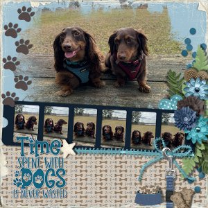 Time Spent With Dogs