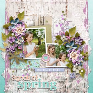 Template - Signals Of Spring