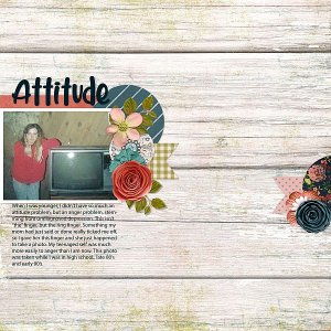 Attitude