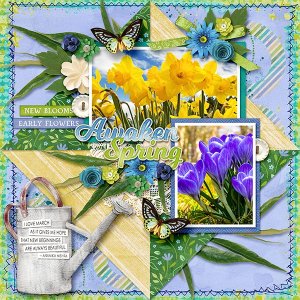 AWAKEN SPRING