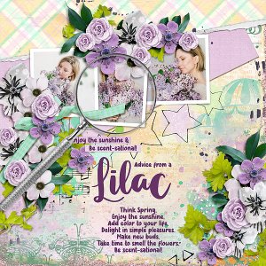 Advice from a Lilac