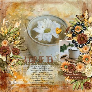 Chrysanthemum Tea