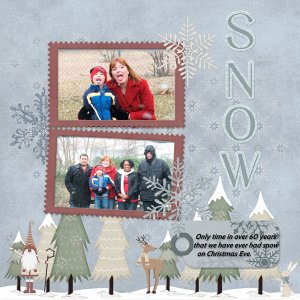 Simply beautiful snowy winter day!