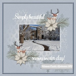SNOW