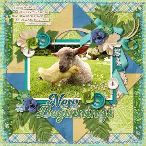 New Beginnings
