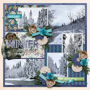 winter wonder