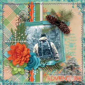A Brilliant Adventure