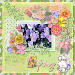 Spring is on the Way