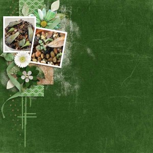 2024-03 Memory Mix Up Challenge