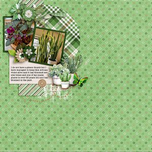 Plants