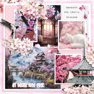 Beneath The Cherry Blossoms