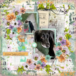 March Feeling-CarolW