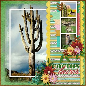 Cactus Hotel