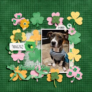 St Patricks Day