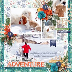 A BRILLIANT ADVENTURE