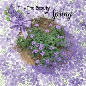 Beauty of Spring