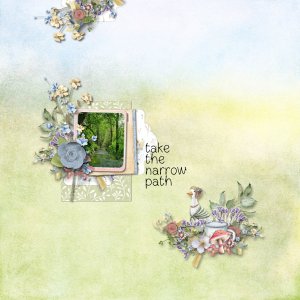 Narrow Path