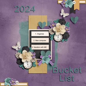 Bucket List 2024