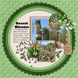 Desert Blooms