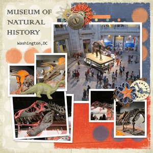 Museum of Natural History