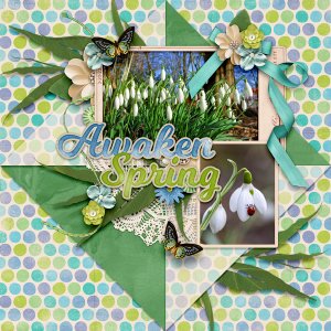 Awaken Spring