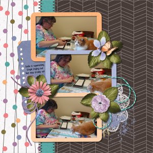Stamp Helper