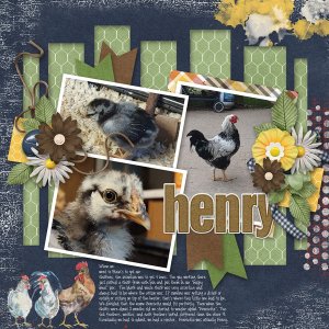 2023-Henry