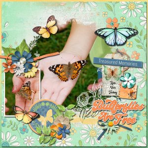 butterflies are free