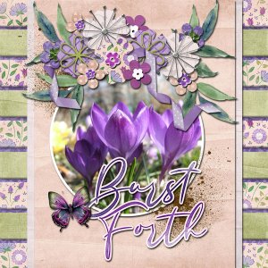 burst forth