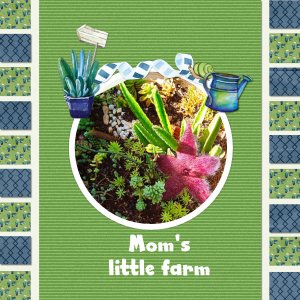 Farm