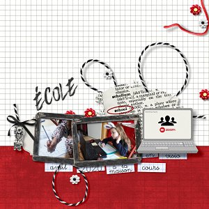 B57_SurvivingSchoolCollab_ADB_Ks600