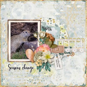 Seasons change