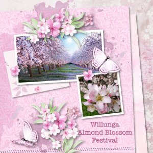 almond blossom