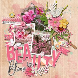 beauty in bloom