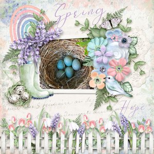 Signs of Spring - Hope