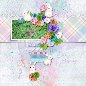 Spring Baby Bunny